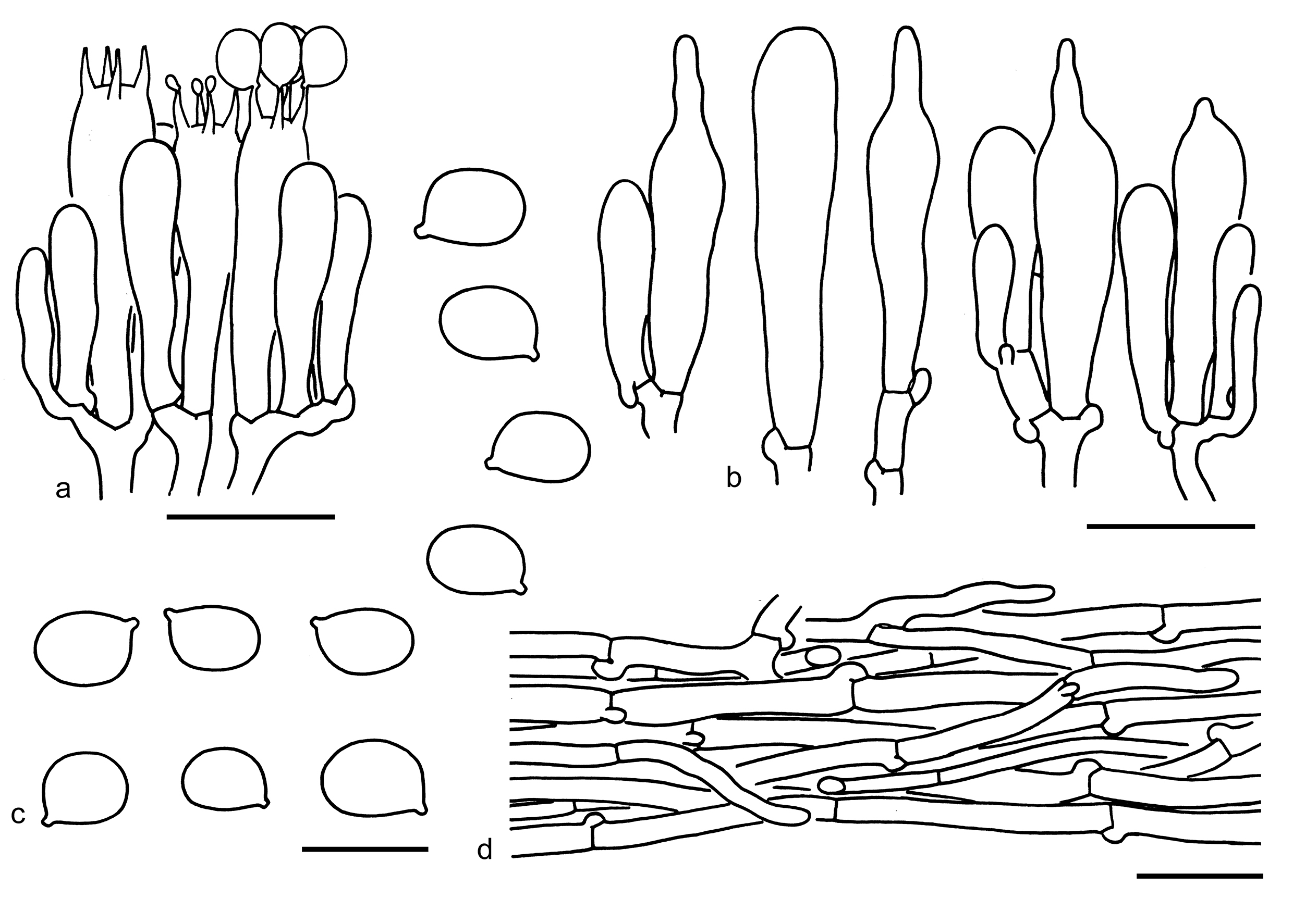Figure 80
